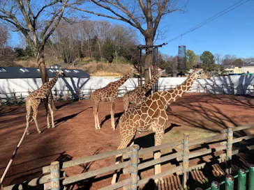 多摩動物公園に投稿された画像（2025/1/11）