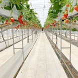 株式会社こまち野に投稿された画像（2025/1/11）