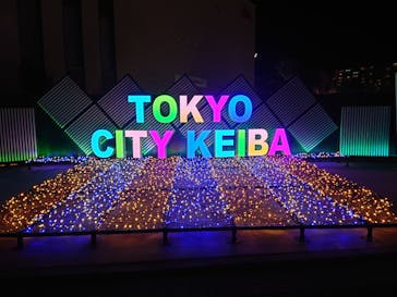 東京メガイルミに投稿された画像（2025/1/11）