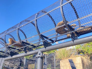 沖縄こどもの国に投稿された画像（2025/1/11）