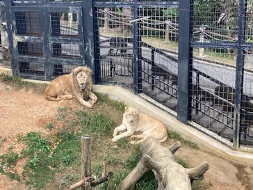 沖縄こどもの国に投稿された画像（2025/1/11）