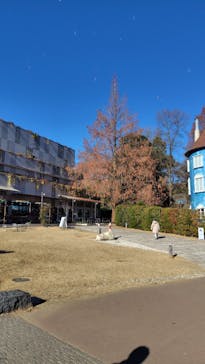 ムーミンバレーパークに投稿された画像（2025/1/11）