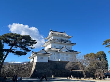 小田原城に投稿された画像（2025/1/11）