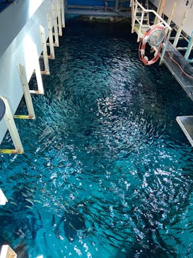 マリンワールド海の中道に投稿された画像（2025/1/11）