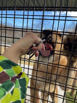 那須サファリパークに投稿された画像（2025/1/11）