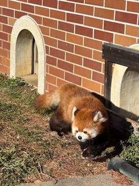 東武動物公園に投稿された画像（2025/1/11）