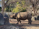 名古屋市東山動植物園に投稿された画像（2025/1/11）