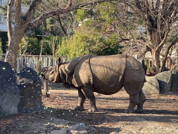 名古屋市東山動植物園に投稿された画像（2025/1/11）