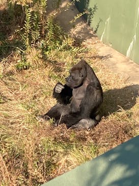 名古屋市東山動植物園に投稿された画像（2025/1/11）