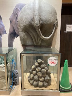 名古屋市東山動植物園に投稿された画像（2025/1/11）