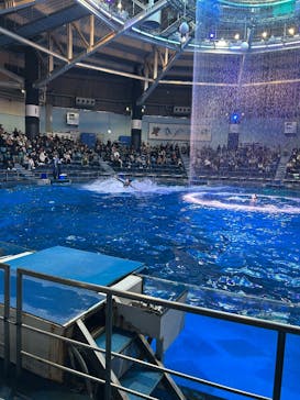 マクセル アクアパーク品川に投稿された画像（2025/1/11）