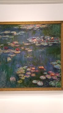 モネ 睡蓮のとき（国立西洋美術館）に投稿された画像（2025/1/11）