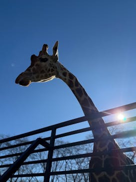 宇都宮動物園に投稿された画像（2025/1/11）