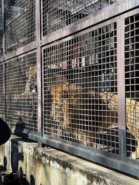 宇都宮動物園に投稿された画像（2025/1/11）