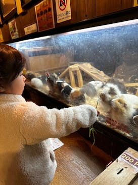 伊豆シャボテン動物公園に投稿された画像（2025/1/11）