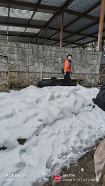 那須どうぶつ王国に投稿された画像（2025/1/11）