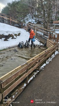 那須どうぶつ王国に投稿された画像（2025/1/11）