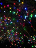 神戸六甲ミーツ・アート2025 beyondに投稿された画像（2025/1/11）