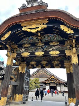 元離宮二条城に投稿された画像（2025/1/11）