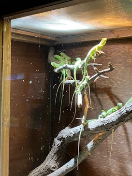 体感型動物園iZooに投稿された画像（2025/1/11）