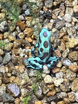 体感型動物園iZooに投稿された画像（2025/1/11）