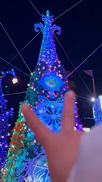 ひらかたパークに投稿された画像（2025/1/11）