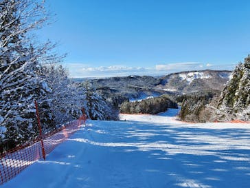 秋田市太平山スキー場オーパスに投稿された画像（2025/1/11）