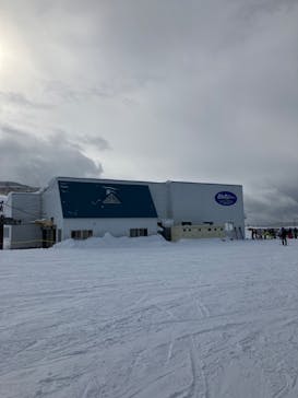 たざわ湖スキー場に投稿された画像（2025/1/11）