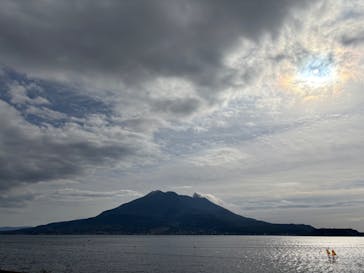 仙巌園に投稿された画像（2025/1/11）