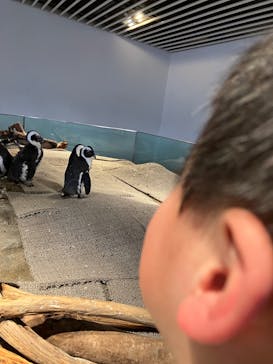 NIFREL（ニフレル）に投稿された画像（2025/1/11）