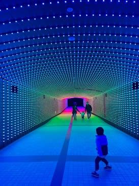 東京メガイルミに投稿された画像（2025/1/11）