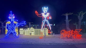 鹿児島イルミナージュに投稿された画像（2025/1/12）