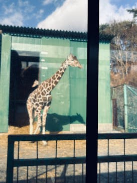 岩手サファリパークに投稿された画像（2025/1/12）