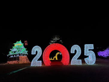 大阪城イルミナージュに投稿された画像（2025/1/12）