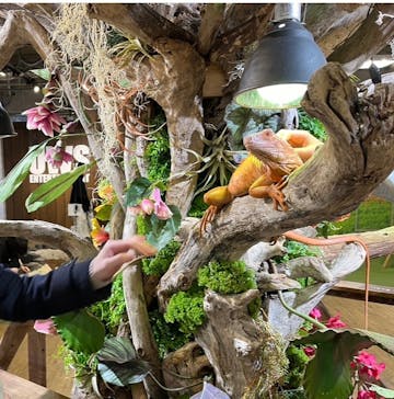 NARA IKIMONO MUSEUMに投稿された画像（2025/1/12）