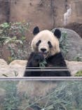 恩賜上野動物園に投稿された画像（2025/1/12）