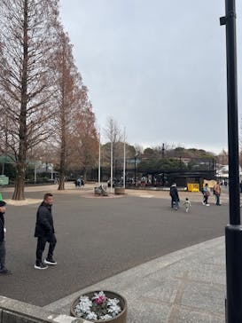 恩賜上野動物園に投稿された画像（2025/1/12）