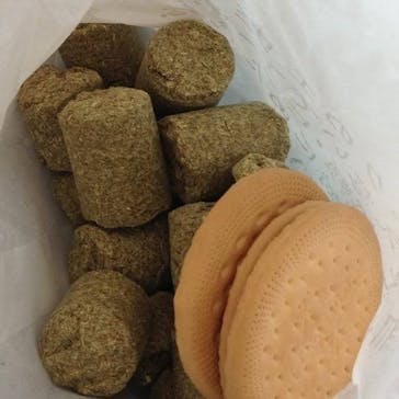 那須サファリパークに投稿された画像（2025/1/12）