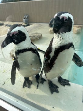 マリンワールド海の中道に投稿された画像（2025/1/12）