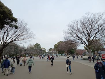 恩賜上野動物園に投稿された画像（2025/1/12）