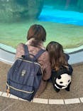 京都水族館に投稿された画像（2025/1/12）