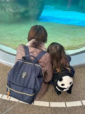 京都水族館に投稿された画像（2025/1/12）