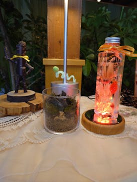 モビリティリゾートもてぎに投稿された画像（2025/1/12）