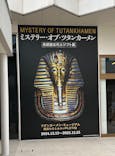 MYSTERY OF TUTANKHAMEN 体感型古代エジプト展に投稿された画像（2025/1/12）