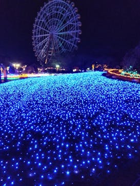 東武動物公園に投稿された画像（2025/1/12）