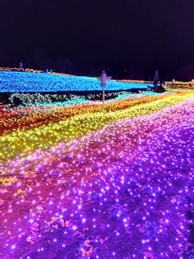 東武動物公園に投稿された画像（2025/1/12）