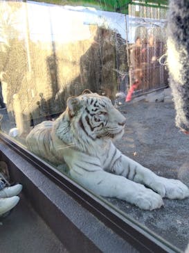 東武動物公園に投稿された画像（2025/1/12）