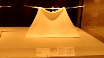 東京国立博物館に投稿された画像（2025/1/12）