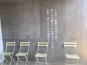 霞ケ浦 どうぶつとみんなのいえに投稿された画像（2025/1/12）