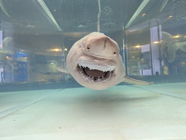 沖縄美ら海水族館に投稿された画像（2025/1/12）